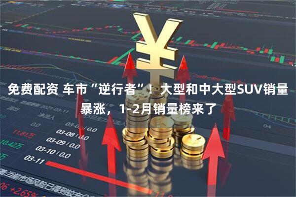 免费配资 车市“逆行者”！大型和中大型SUV销量暴涨，1-2月销量榜来了